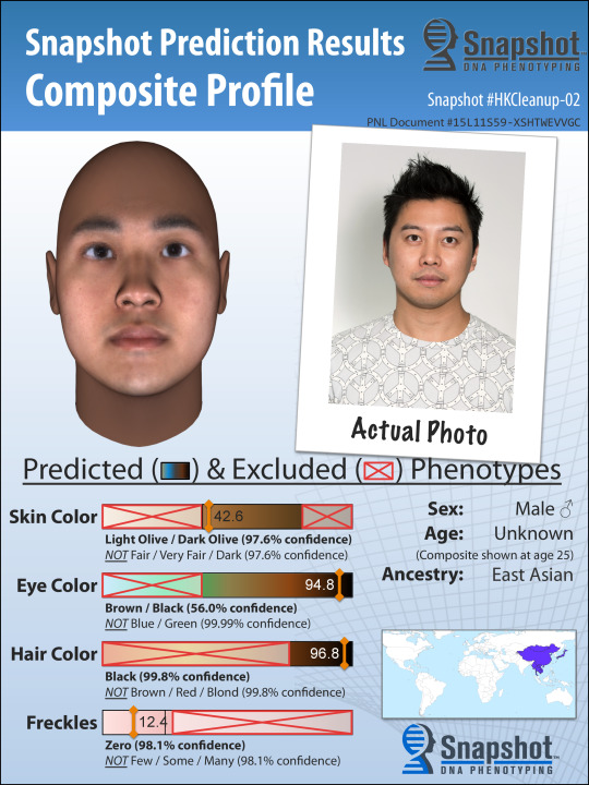 Example Snapshot Composite