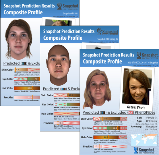 Stack of Example Blind Snapshot Predictions